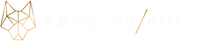 Project Solo